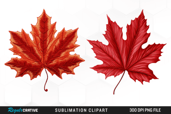 Embroidery Maple Leaf Clipart Png Design Review
